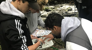 Earth Science and Living World. Students collecting data from river during field trip.