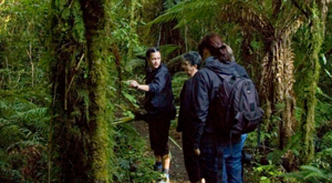 Guided exploration to learn key species and understand the bush environment